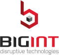 logo_bigint